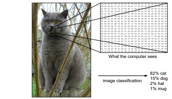 Cách máy tính "nhìn" một hình. - Nguồn: http://cs231n.github.io/classification/