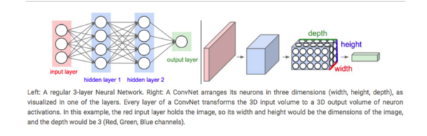 Mạng nơ-ron thông thường (trái) và CNN (phải). - Nguồn: http://cs231n.github.io/convolutional-networks/